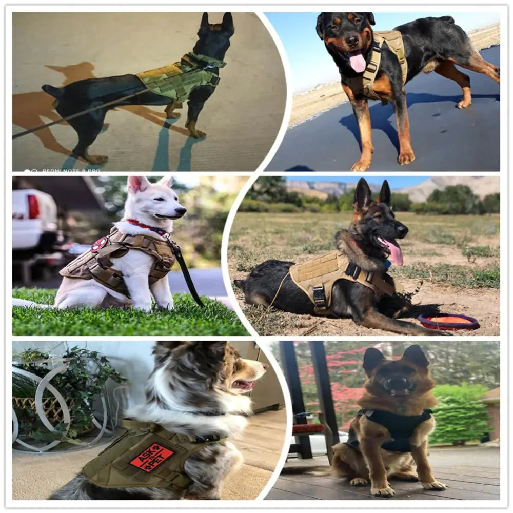 Metal Buckle Tactical Dog Harness